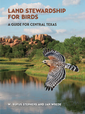 cover image of Attracting Birds in the Texas Hill Country